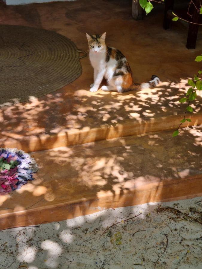 Sunny House Paje Otel Dış mekan fotoğraf